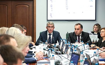 Расширенное заседание Комитета СФ по социальной политике (в рамках дней Тульской области в Совете Федерации)