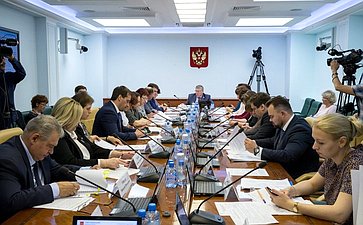Заседание Комитета СФ по соцполитике с участием представителей органов власти Северной Осетии