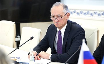 Встреча заместителя Председателя Совета Федерации Инны Святенко с директором Европейского регионального бюро Всемирной организации здравоохранения