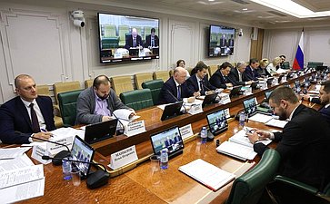 Круглый стол Комитета СФ по бюджету и финансовым рынкам на тему «Преференциальные режимы на территории РФ: эффективность и перспективы развития»