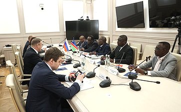Встреча первого заместителя председателя Комитета СФ по бюджету и финансовым рынкам Николая Любимова с делегацией Национального совета Республики Намибии