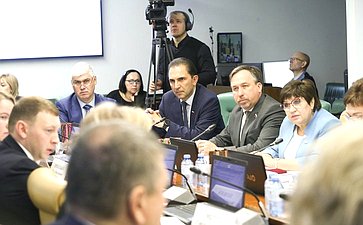 Расширенное заседание Комитета СФ по социальной политике (в рамках Дней Новгородской области в СФ)