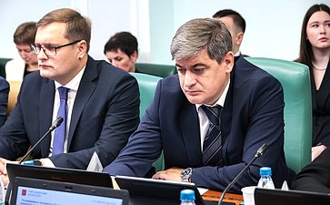 Расширенное заседание Комитета СФ по социальной политике (в рамках дней Тульской области в Совете Федерации)