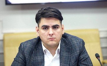 Заседание Палаты молодых законодателей при Совете Федерации