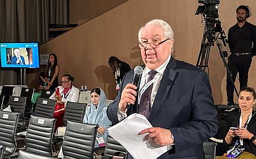 Первый заместитель председателя Комитета СФ по международным делам Сергей Кисляк