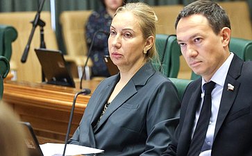Расширенное заседание Комитета Совета Федерации по бюджету и финансовым рынкам