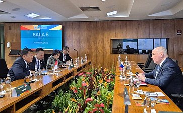 Встреча Григория Карасина с председателем комитета по межпарламентскому сотрудничеству Палаты представителей Республики Индонезии Мардани Али Сера