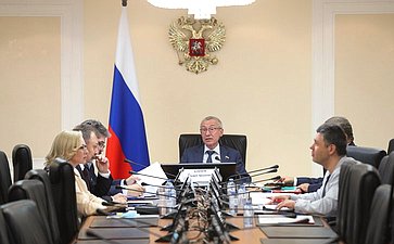 Заседание мониторинговой группы Временной комиссии СФ по защите государственного суверенитета и предотвращению вмешательства во внутренние дела России