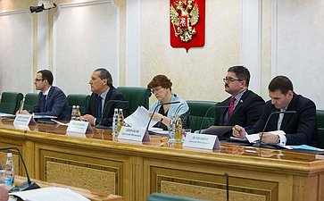 В Совете Федерации состоялись парламентские слушания на тему «Конституционные права и свободы человека и гражданина в части равного доступа к государственной службе»