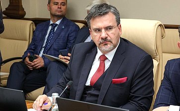 Заседание секции «Цифровые регионы: лучшие практики и стратегии развития» (фото пресс-служба Совета Федерации)