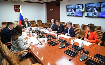 Круглый стол Комитета Совета Федерации по социальной политике «Актуальные вопросы реализации в субъектах Российской Федерации национального проекта «Продолжительная и активная жизнь»»