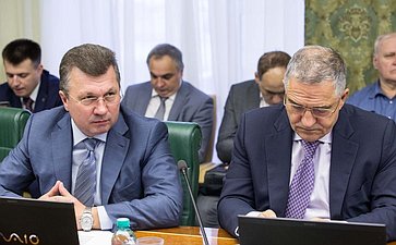 В. Васильев и Е. Тарло Заседание Комитета Совета Федерации по экономической политике