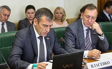 Н. Власенко Заседание Комитета СФ по экономической политике