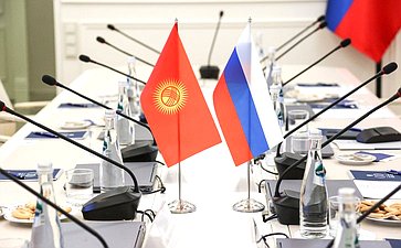 Встреча председателя Комитета СФ по науке, образованию и культуре Лилии Гумеровой с председателем Комитета по труду, здравоохранению, делам женщин и социальным вопросам Жогорку Кенеша Киргизской Республики