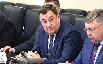 Заседание Комитета Совета Федерации по Регламенту и организации парламентской деятельности
