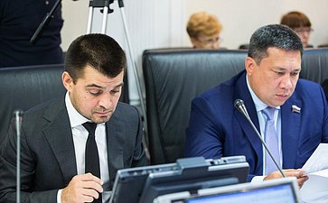 С. Мамедов и В. Полетаев Заседание Комитета СФ по Регламенту и организации парламентской деятельности