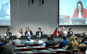 Сенаторы РФ приняли участие в заседании Постоянного комитета по вопросам демократии и прав человека Межпарламентского союза