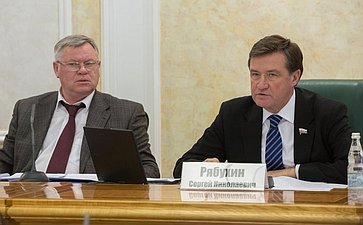 С. Рябухин и В. Петров Заседание Комитета СФ по бюджету и финансовым рынкам
