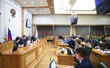 Заседание Комитета Совета Федерации по бюджету и финансовым рынкам