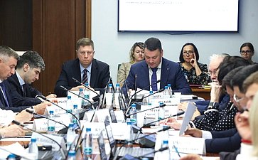Заседание Комитета Совета Федерации по социальной политике