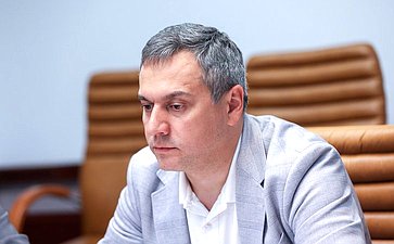 Заседание секции «Цифровая промышленность» Совета по развитию цифровой экономики при СФ «Распространение Российских цифровых платформ и продуктов»