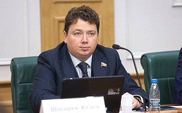 Александр Шендерюк-Жидков