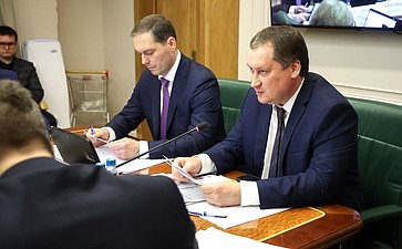 Заседание Комитета Совета Федерации по экономической политике