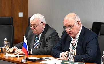 Григорий Карасин провел встречу с председателем Комитета по международным делам и национальной обороне Федерального сената Бразилии Нельсиньо Традом