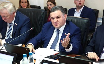Заседание Комитета Совета Федерации по Регламенту и организации парламентской деятельности