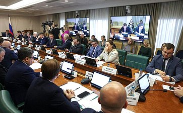 Расширенное заседание Комитета Совета Федерации по экономической политике (в рамках дней Тульской области в Совете Федерации)