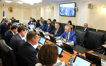 Заседание Комитета Совета Федерации по федеративному устройству, региональной политике, местному самоуправлению и делам Севера