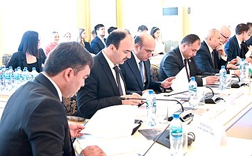 Иван Новиков выступил на заседании Молодежной межпарламентской ассамблеи государств – участников СНГ по теме обеспечения доступности жилья для молодежи