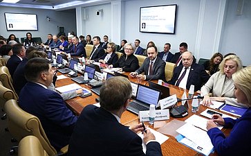 Заседание Комитета Совета Федерации по науке, образованию и культуре