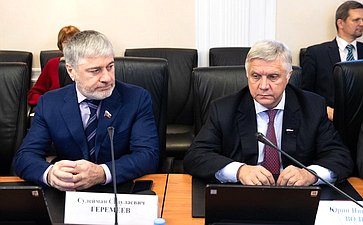 Заседание Комитета Совета Федерации по Регламенту и организации парламентской деятельности