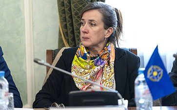 Заседание Постоянной комиссии ПА ОДКБ по социально-экономическим и правовым вопросам