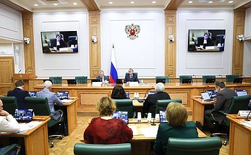 Заседание экспертно-консультативного совета при Комитете Совета Федерации по конституционному законодательству и государственному строительству