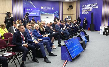 XXVIII Петербургский международный экономический форум (ПМЭФ’25). «Инвестиции в электроэнергетике на горизонте до 2050 года»