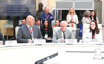 Заседание Комиссии Государственного Совета РФ по направлению «Экологическое благополучие». XI Невский международный экологический конгресс