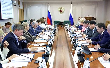 Заседание подкомитета Совета Федерации по финансовому контролю Комитета Совета Федерации по бюджету и финансовым рынкам «Об эффективности использования средств федерального бюджета на реализацию государственным программ РФ»