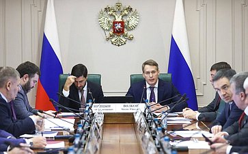 Заседание Комитета Совета Федерации по экономической политике