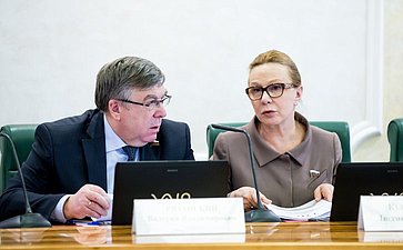 Совет по развитию социальных инноваций субъектов РФ Рязанский и Косткина