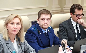 Заседание Комиссии СФ по информационной политике и взаимодействию со СМИ «Информационная подготовка к 80-летию Нюрнбергского процесса. Почему заключения Нюрнберга актуальны и в наши дни»