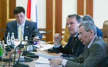 И. Морозов Заседание Комитета СФ по международным делам 4