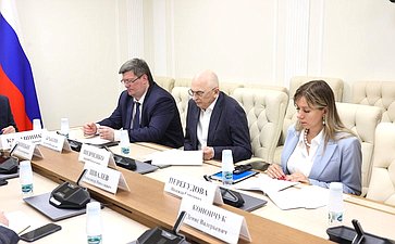 Круглый стол Комитета СФ по экономической политике на тему «Перспективы и проблемы роботизации производственных процессов»