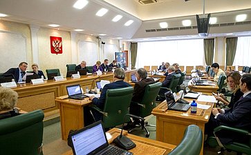 Заседание Комитета Совета Федерации по конституционному законодательству и государственному строительству