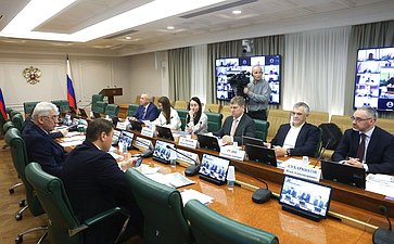 Круглый стол комитета Совета Федерации по экономической политике на тему «Вопросы восстановления и наращивания трансграничных и межрегиональных грузовых и пассажирских перевозок по реке Амур»