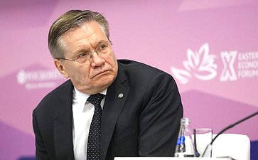 Сессия «Электроэнергия для развития Дальнего Востока». X Восточный экономический форум