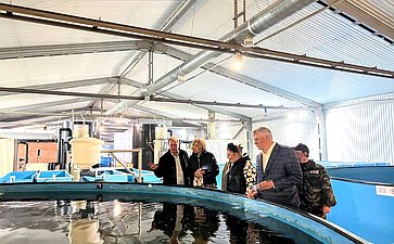 Сенаторы РФ посетили рыбоводное хозяйство «Бородино»