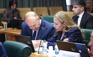 Заседание Комитета Совета Федерации по бюджету и финансовым рынкам