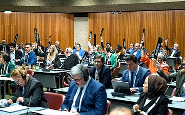 Сенаторы РФ приняли участие в заседании Постоянного комитета по вопросам демократии и прав человека Межпарламентского союза